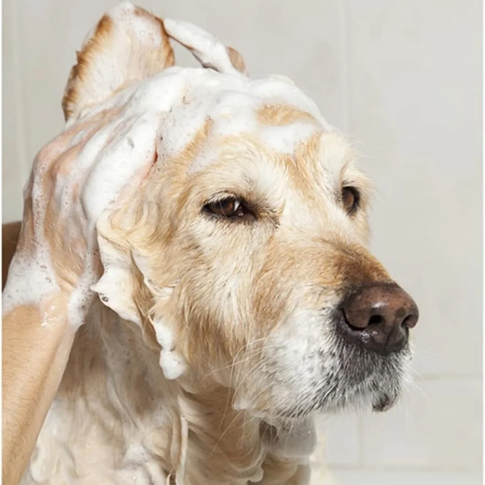 NWT Bath Brush Dog shampoo Dispenser